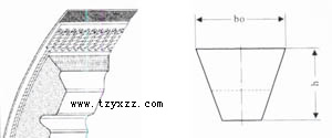 XPA���б�V��